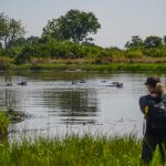 Okavango Delta, avec Hippos